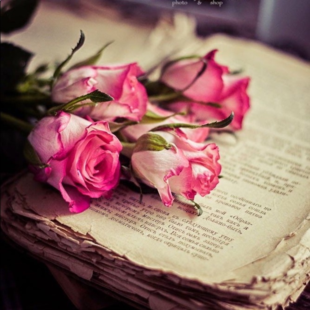 Meet your Posher, Aparna